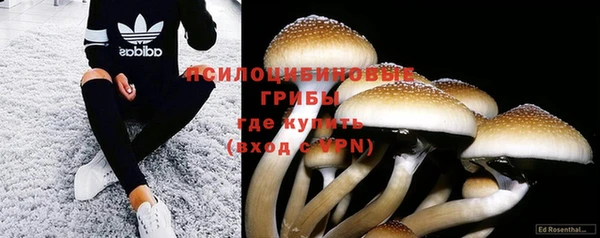 PSILOCYBIN Сатка