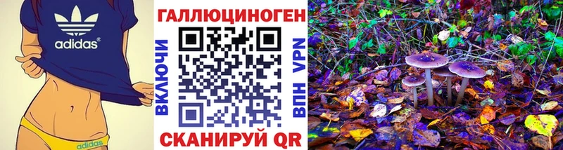 Псилоцибиновые грибы ЛСД  Нерчинск 